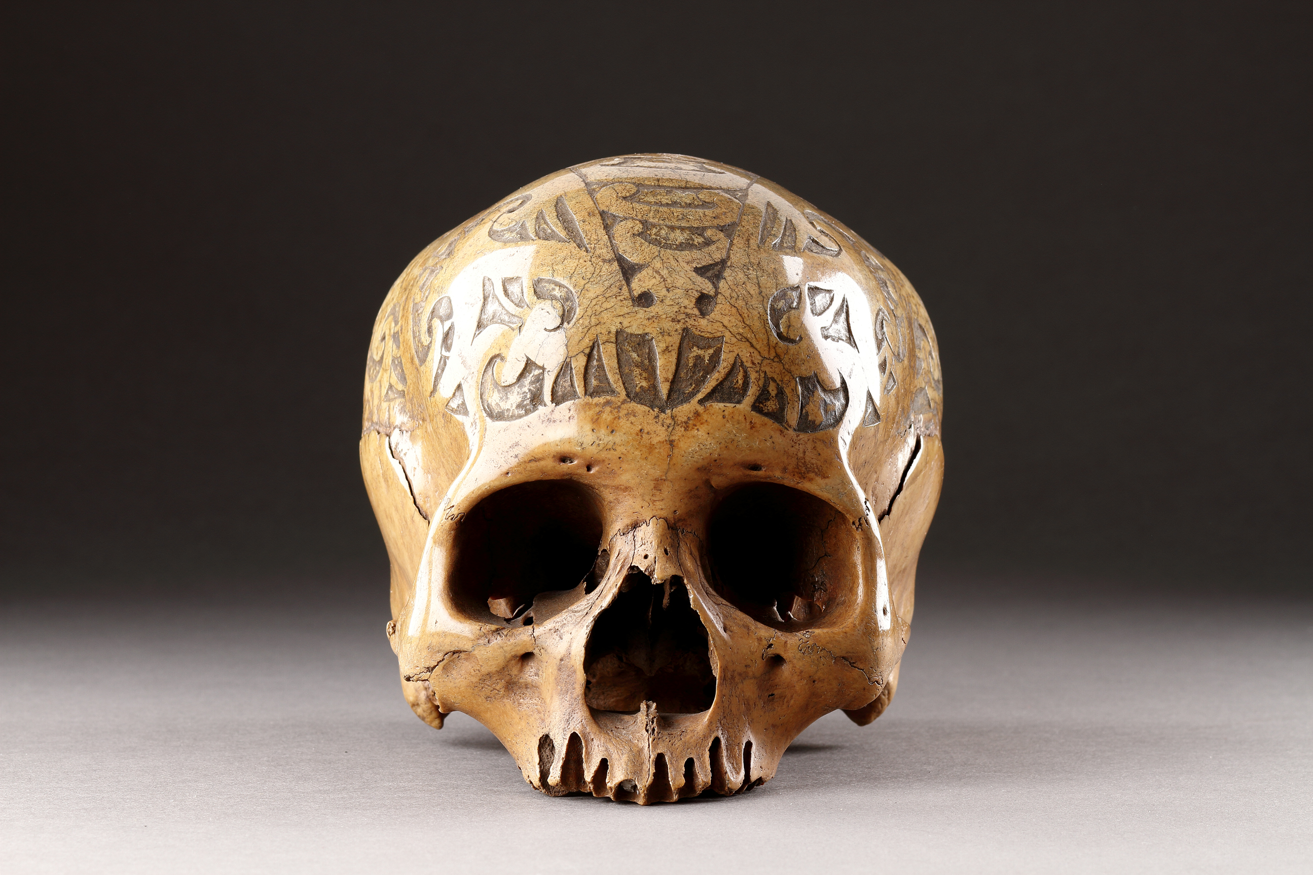 Superb Indonesian Tribal Trophy Skull Carved in Low Relief 